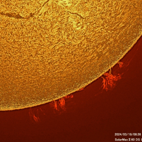 3月19日の太陽面