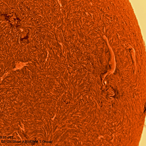 3月27日の太陽面