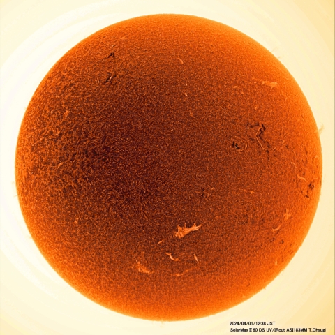 4月1日の太陽面