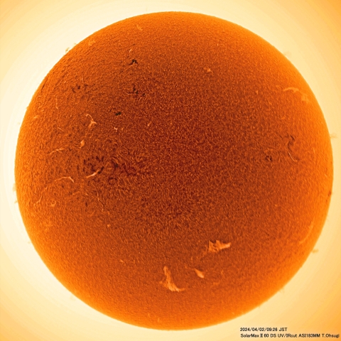 4月2日の太陽面