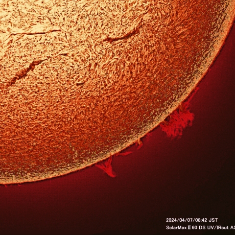 4月7日の太陽面