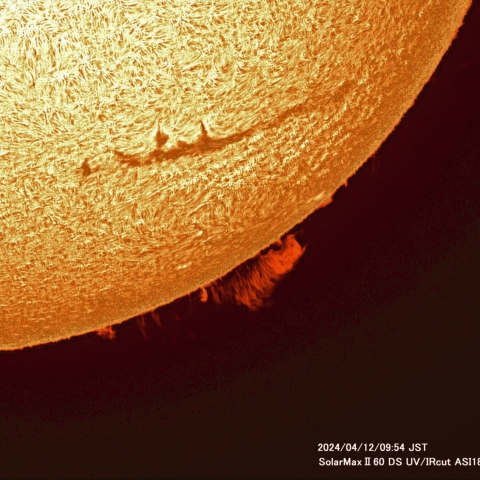 4月12日の太陽面