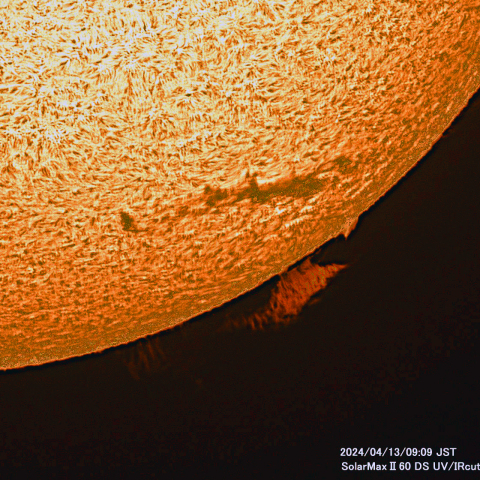 4月13日の太陽面