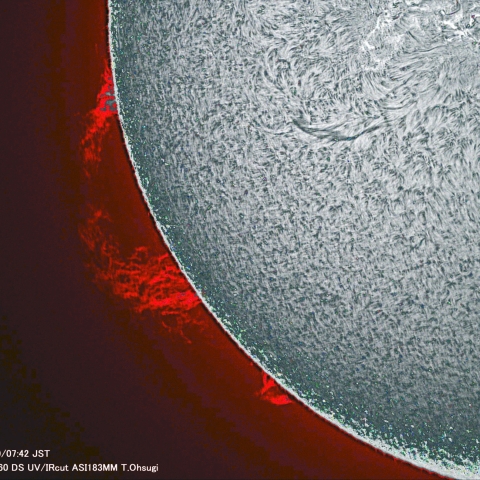 4月19日の太陽面