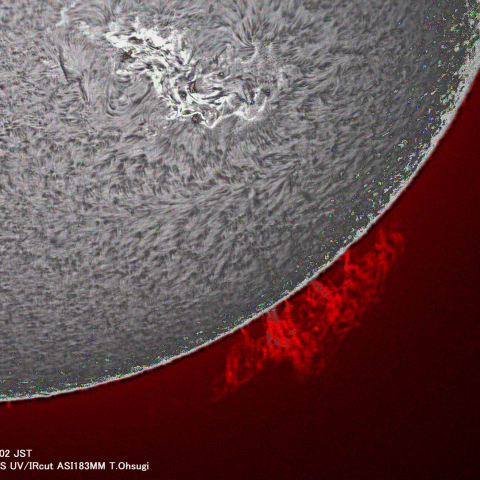 5月10日の太陽面