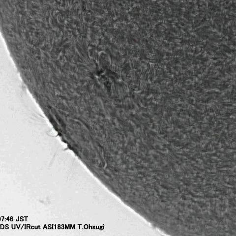 5月14日の太陽面