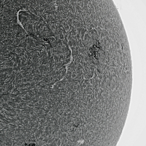 5月16日の太陽面