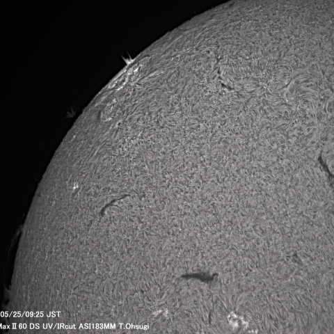 5月25日の太陽面