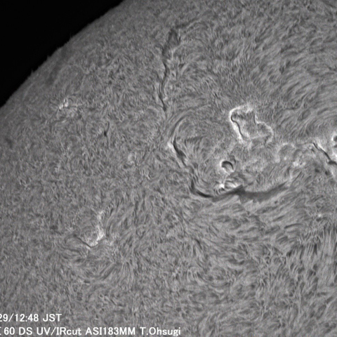 5月29日の太陽面