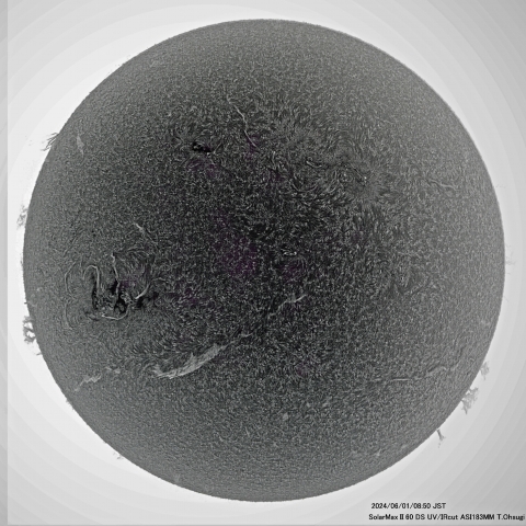 6月1日の太陽面