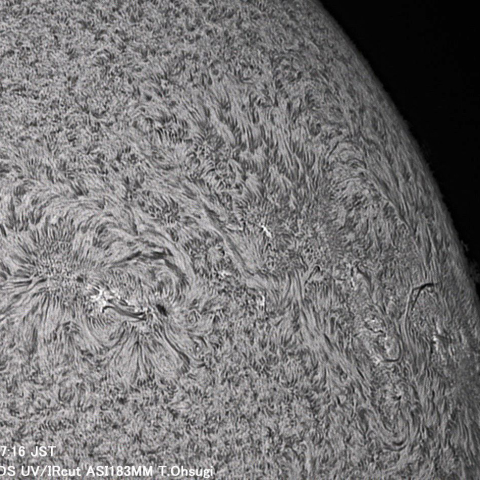 6月5日の太陽面