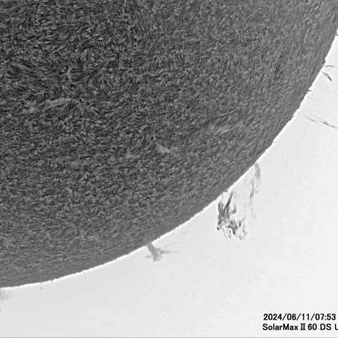 6月11日の太陽面