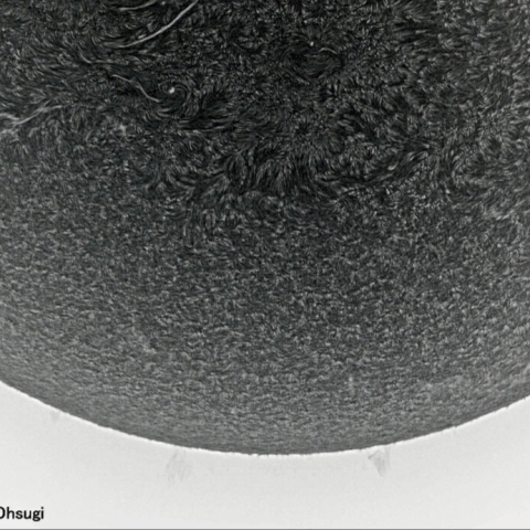6月12日の太陽面