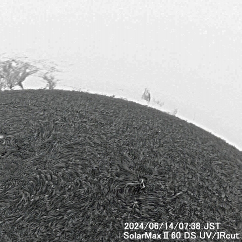 6月14日の太陽面