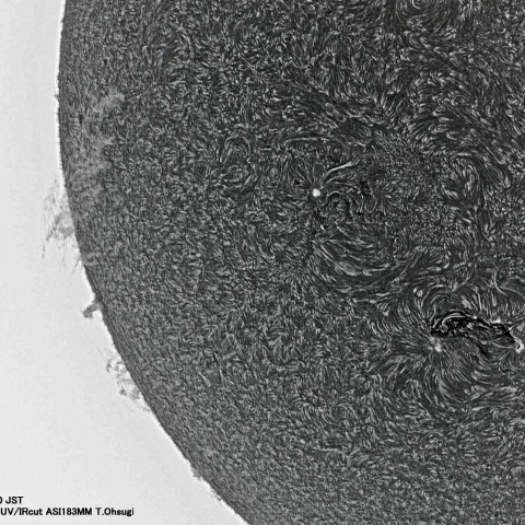 6月16日の太陽面