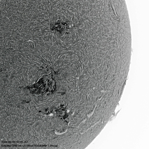 6月20日の太陽面