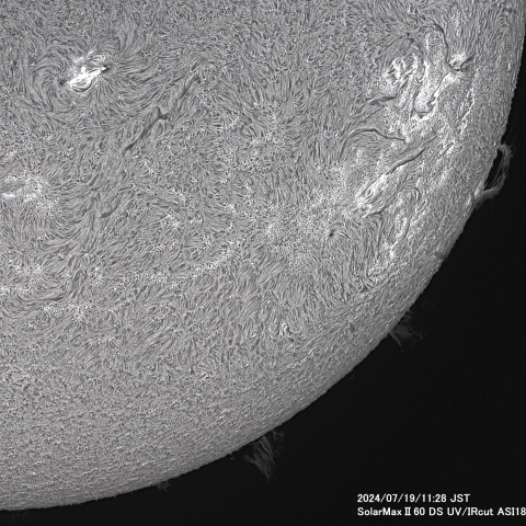 7月19日の太陽面