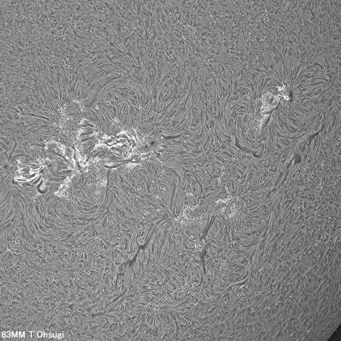 7月21日の太陽面