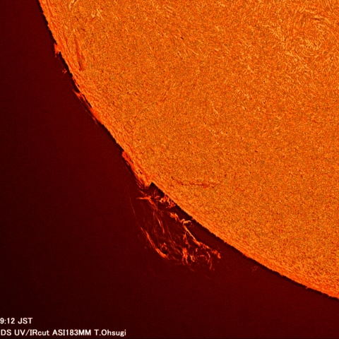 7月21日の太陽面