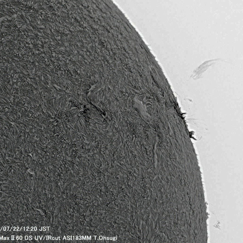 7月22日の太陽面