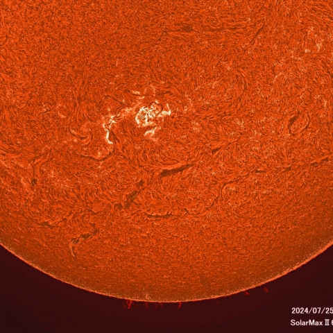 7月25日の太陽面