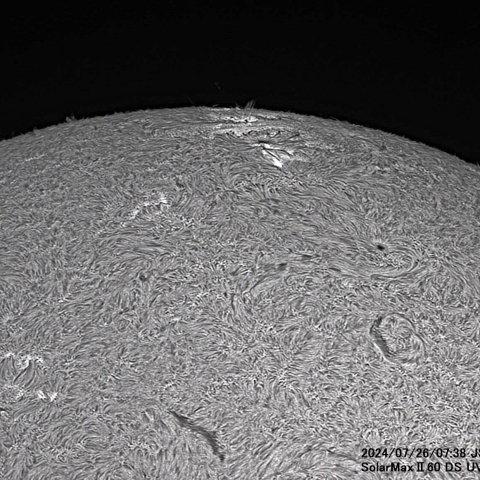7月26日の太陽面