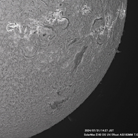 7月31日の太陽面