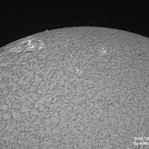 8月1日の太陽面