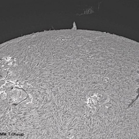 8月3日の太陽面