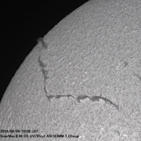 8月4日の太陽面