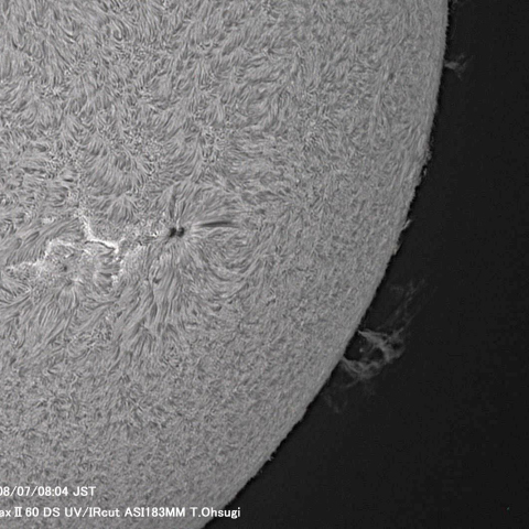 8月7日の太陽面