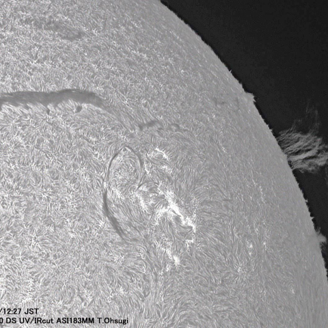8月9日の太陽面