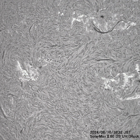 8月10日の太陽面