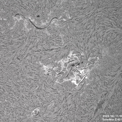 8月11日の太陽面