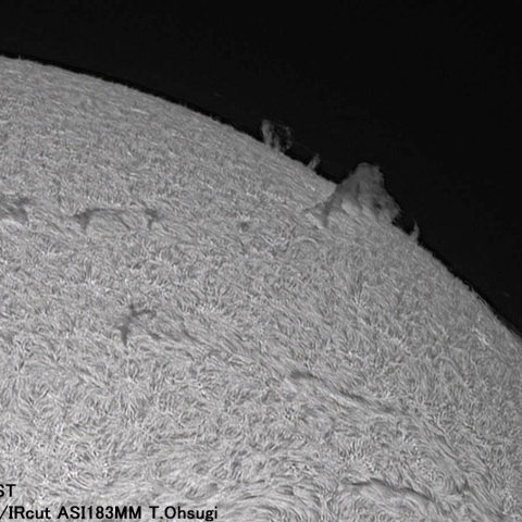 8月13日の太陽面