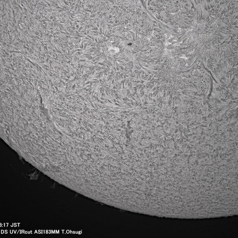 8月15日の太陽面