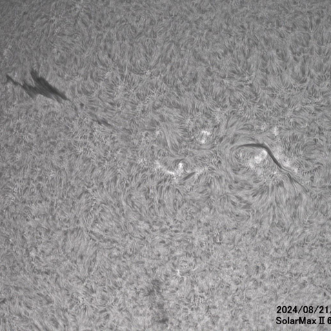 8月21日の太陽面