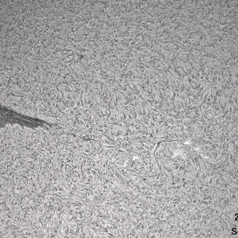 8月23日の太陽面