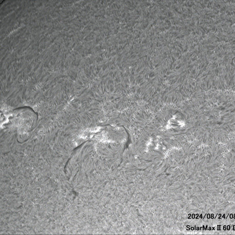 8月24日の太陽面