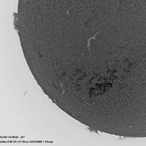 9月16日の太陽面