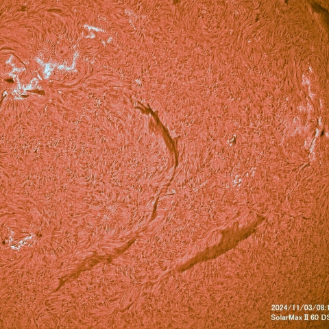 11月03日の太陽面