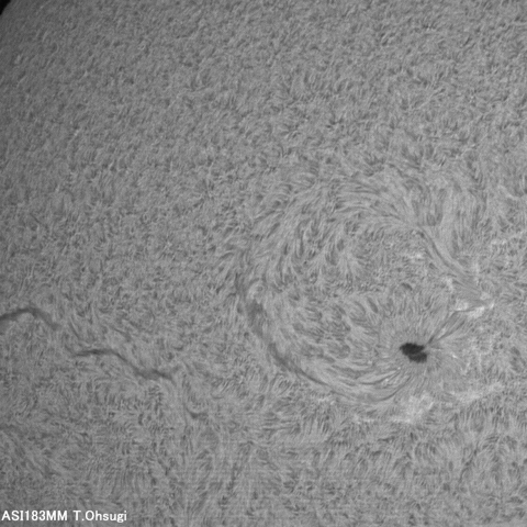 11月04日の太陽面