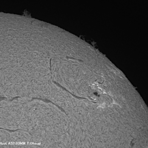 11月09日の太陽面