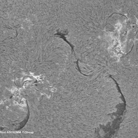 11月11日の太陽面