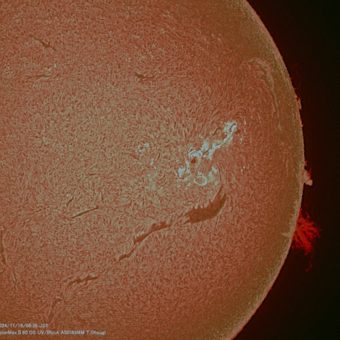 11月16日の太陽面