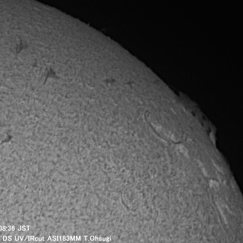 1月4日の太陽面