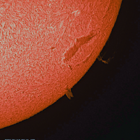 1月16日の太陽面