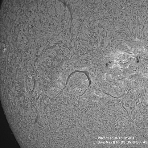 1月19日の太陽面