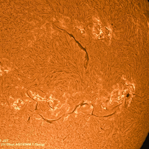1月24日の太陽面