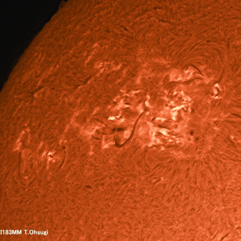 2月1日の太陽面